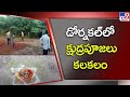 Black magic practices in Dornakal creates terror