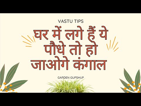 These 9 Plants bring Poverty, Negative energy and Bad luck in life | Vastu Shastra, Feng Shui