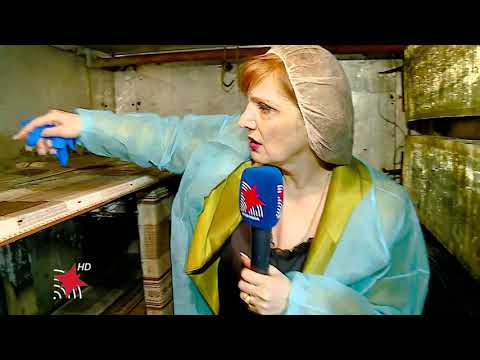 სახალხო კონტროლი/public control - რესტორანი იბერია აღმაშენებელის ხეივანზე