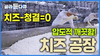 치즈에서 청결을 빼면 아무것도 없습니다┃하루 1ℓ 우유 8만 개! 몽글몽글한 알갱이가 치즈가 되기까지!┃압도적으로 청결한 '치즈 대량 생산 공장' ┃#골라듄다큐