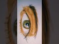 A real eye drawing youtubeshorts shot shorts trending viral artdrawinglikeforlikesartist