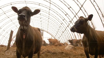 Meet the Maker: Green State Biochar