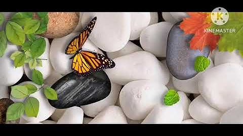 من آيات الذكر الحكيم من سورة إبراهيم من آية 38-51