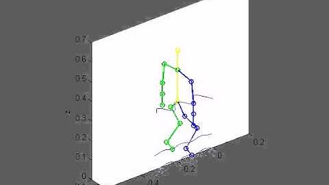 NAO robot walking backwards-simulation in Matlab