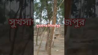 গার্লফ্রেন্ড একটা আজাবshorts abutawhamuhammadadnan islamicshorts sukhsagor dinajpur bangladesh