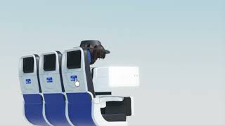 VAULT Animated Economy Seats Showcase