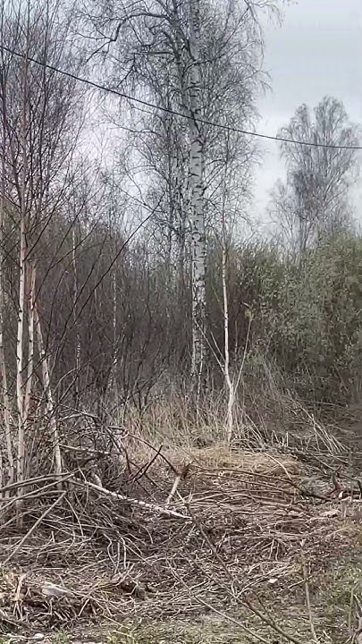 Участок СНТ Сочинское. Велижанский тракт. Цена 230 тыс#тюмень # ...