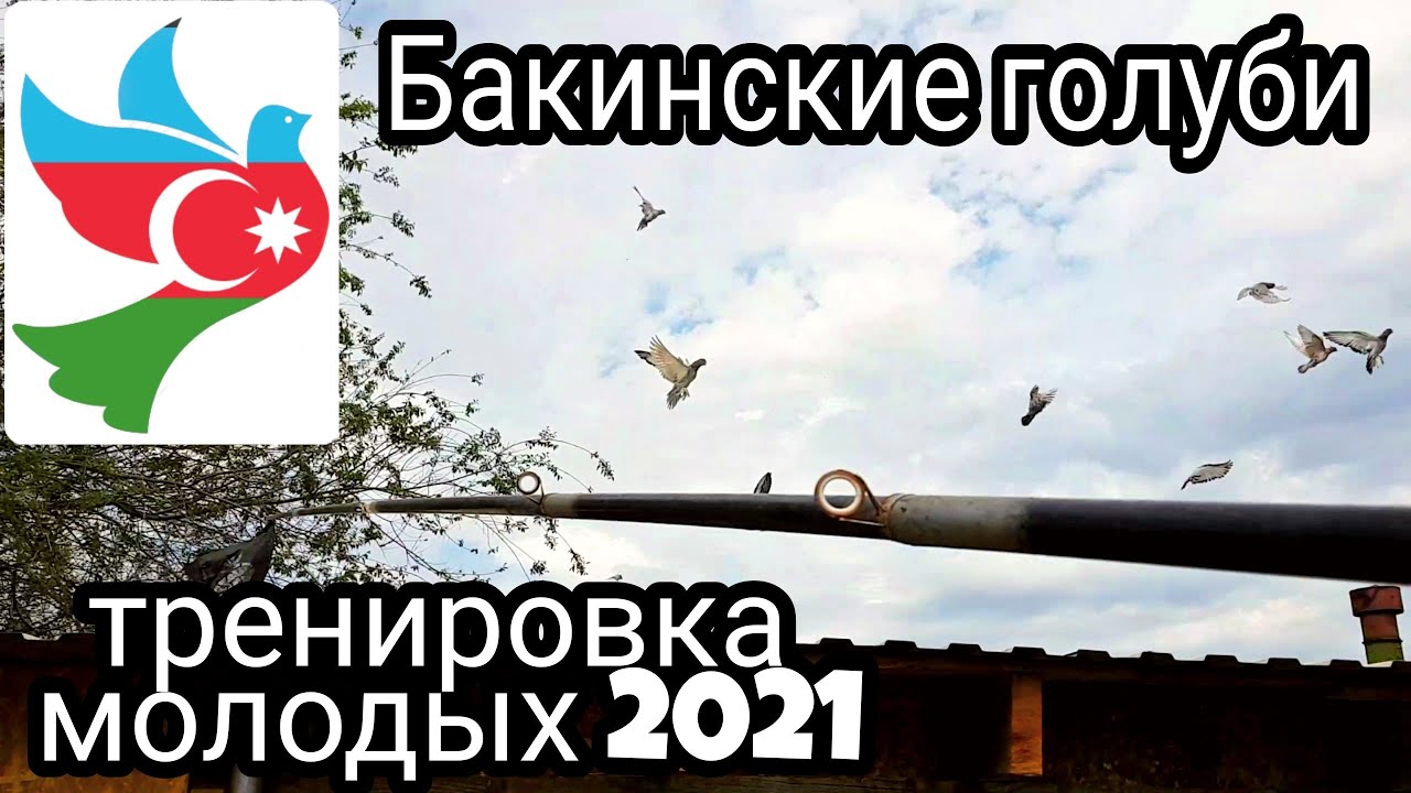 ���� ������� + �������� �����: ����.