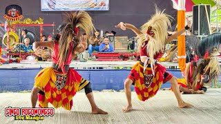 BUJANG GANONG DARI BLORA ! Plentu & Unggul Dasuki |  Pentas Barongan Singo Rogowongso live Mangin