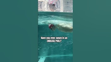 Have you ever swum in an Endless pool? 👀 #swimmingtips #swimmingpool #swimtechnique