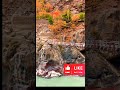 Subhanallah naturephotography ytshorts love