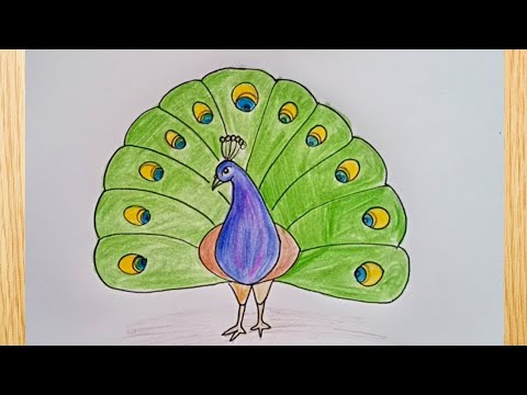 How to draw a peacock | Peacock drawing step by step | How to draw peacock  with colour easy way - YouTube