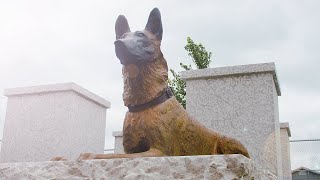 Honouring The Service And Sacrifice Of Winnipegs Police Dogs