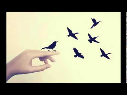 Putni - Adele Podiņa