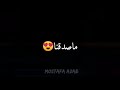 حالهه واتس عصام صاصا حبيتها عشان مكنه
