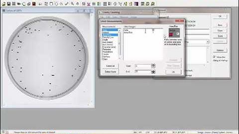 Colony Counting with Gel-Pro Analyzer Software
