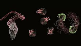 Information Generative Art - Synthetic Critters 2 2026-09 News