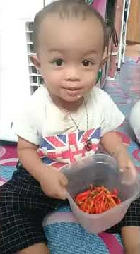 video lucu balita makan cabe