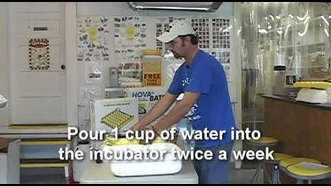 Hovabator (Genesis) Assembly Instructions | Cackle Hatchery