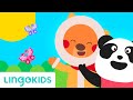 Hello Hello Song - English for Kids &amp; Toddlers | Lingokids