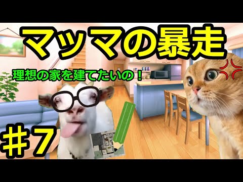 猫ミーム hqdefault.jpg