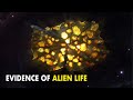 What if life is of extraterrestrial origin? New evidence found!
