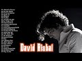 David Bisbal Grandes Exitos - David Bisbal Álbum Completo 2021