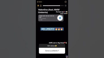 NMW Yanni x NMW umberto ( Snippet )