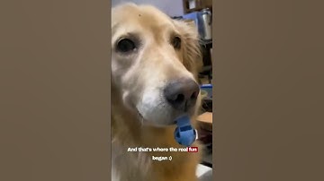 How to make a music video with AI? #shorts #ai #generativeart #stablediffusion #anime #guitar #art