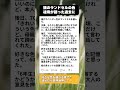 祖母が漏らした60年越しの後悔、孫のランドセル色がきっかけ #子育てあるある #ランドセル