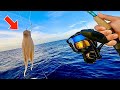 Fishing with SQUID! in 100' DEEP for my DINNER [Catch,Clean,Cook]