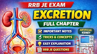 Day - 23 | EXCRETORY SYSTEM - LIFE PROCESS | BIOLOGY - RRB JE/NTPC EXAM 2026