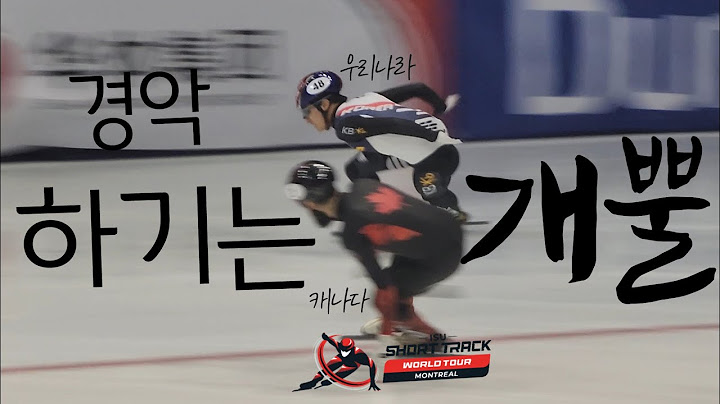 대한민국이 캐나다🇨🇦에 역전하자 중계진, 해설자, 방송카메라 모두가 경악 ?? (혼성계주 모음) 2024.11.01~03 쇼트트랙 월드투어 2차 대회 캐나다 🇨🇦몬트리올