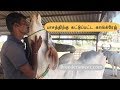 பாசத்திற்கு கட்டுப்பட்ட நாட்டு மாடு காங்க்ரேஜ் | Kankrej cattle in Tamilnadu