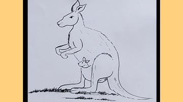 How to draw a kangaroo easy step by step for beginners...kangaroo drawing easy step by step