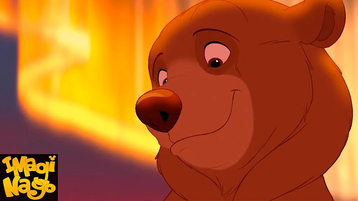 POR QUE IRMÃO URSO É PERFEITO?