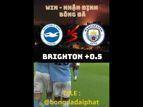 Soi kèo Brighton vs Man City - Ngày 25/5 -  BÓNG ĐÁ ĐẠI PHÁT