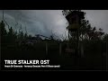 True Stalker OST ▶️ Anger Of Darkness - Invisible Dangers Part II (Kaos cover)