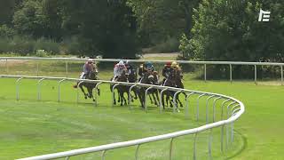 Vidéo de la course PMU PRIX BAROUD D'HONNEUR