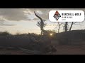 Hunting Plains Game in Namibia with Burchell-Wolf Safaris