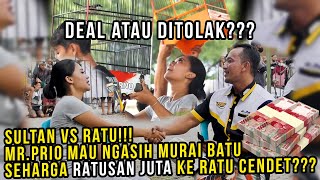 "Sultan VS Ratu" Mr.Prio Mau Ngasih Burung Ratusan Juta Ke Ratu Cendet, Apa Jawaban Ratu Cendet?