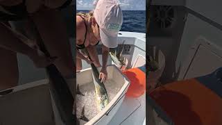 Got Some Nice Catches Into The Fish Box They Go