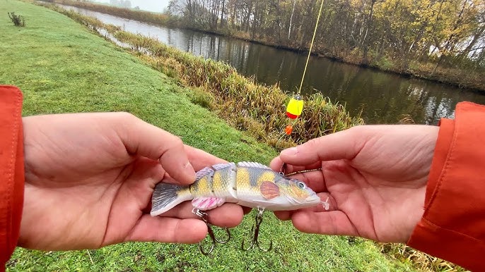 Tutorial de pesca: Montaje flotador piloto 