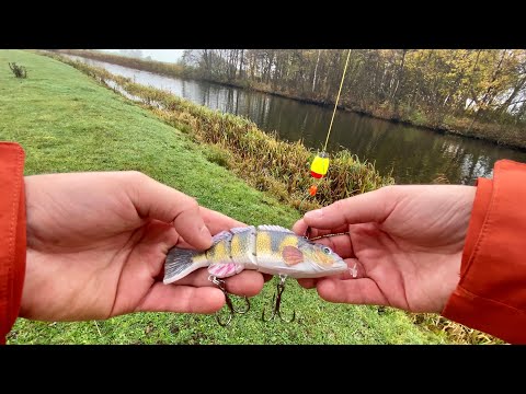 BASS Fishing with a ROBOTIC Lure 