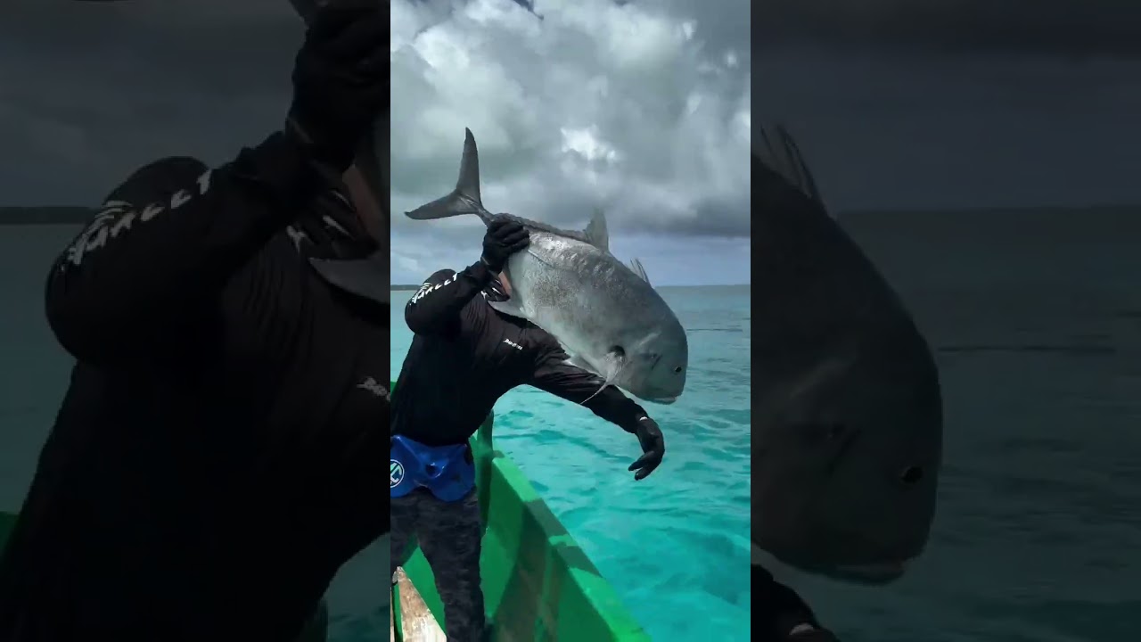 Look at this Guys.Released a big GT fish🙀 