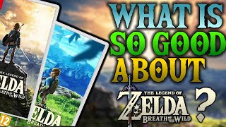 Why Breath of the Wild is STILL SO AMAZING in 2022 (Legend of Zelda 5th Anniversary)