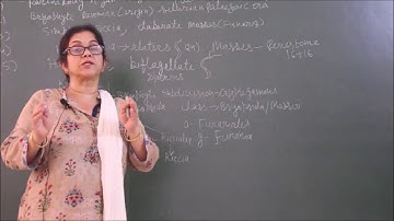 Bio-XI-3-10 Economic importance of bryophytes,  Pradeep Kshetrapal channel