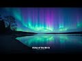Ashes of the Birch — Scout Scarf Music | Whispers of the Old Grove