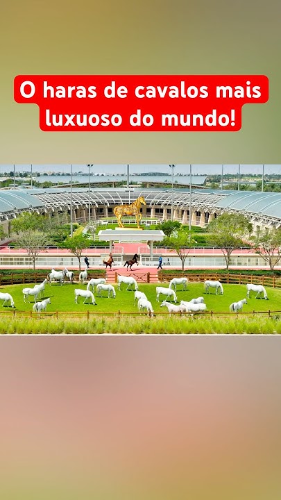 O haras de cavalos mais luxuoso do mundo!