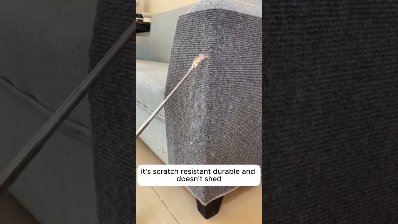 Get this Cat Scratch Wall Mat and keep your furniture scratch-free! 😻✨